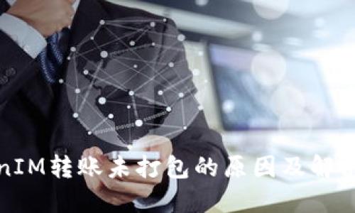 TokenIM轉(zhuǎn)賬未打包的原因及解決方案