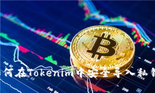 如何在Tokenim中安全導(dǎo)入私鑰？
