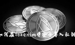 如何在Tokenim中安全導入私鑰？