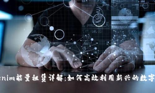 Tokenim能量租賃詳解:如何高效利用新興的數(shù)字資產(chǎn)