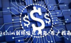 如何解決Tokenim到賬延遲問題：用戶指