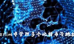 如何在Tokenim中管理多個比特幣子地址