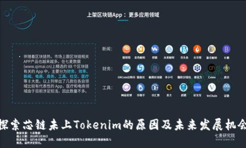 探索芯鏈未上Tokenim的原因及未來發(fā)展機會
