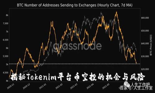 揭秘Tokenim平臺幣空投的機會與風險