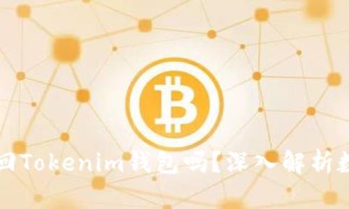 只有私鑰可以找回Tokenim錢包嗎？深入解析數(shù)字貨幣安全保障