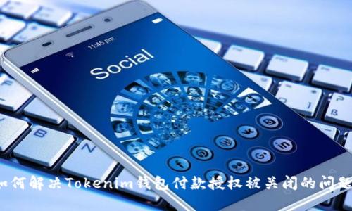 如何解決Tokenim錢(qián)包付款授權(quán)被關(guān)閉的問(wèn)題？
