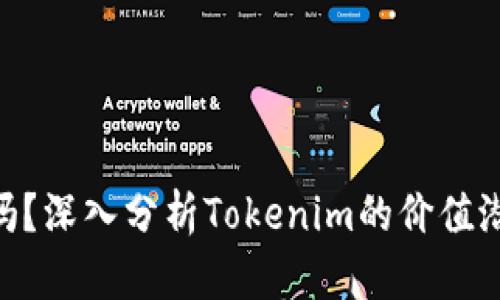 Tokenim值錢嗎？深入分析Tokenim的價(jià)值潛力與市場前景