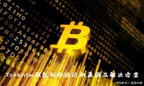 Tokenim錢包到賬延遲的原因及解決方案