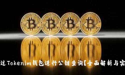如何通過Tokenim錢包進行公鏈查詢？全面解析與實用技巧