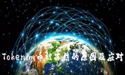 探索Tokenim幣被凍結(jié)的原因及應(yīng)對策略