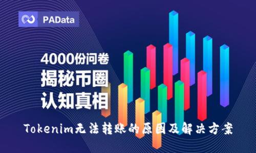 Tokenim無法轉(zhuǎn)賬的原因及解決方案