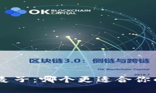 Tokenim與麥子：哪個(gè)更適合你的投資需求？