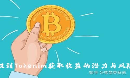 將幣提到Tokenim獲取收益的潛力與風(fēng)險(xiǎn)分析