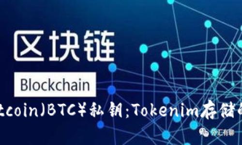i如何安全存儲(chǔ)Bitcoin(BTC)私鑰:Tokenim存儲(chǔ)的優(yōu)勢與實(shí)踐指南