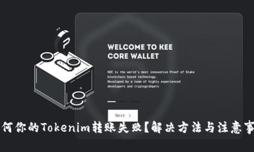 為何你的Tokenim轉(zhuǎn)賬失??？解決方法與注意事項(xiàng)