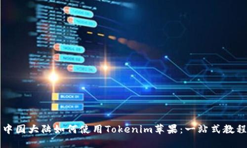 中國大陸如何使用Tokenim蘋果:一站式教程