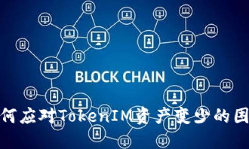 如何應(yīng)對(duì)TokenIM資產(chǎn)變少的困境