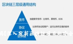 Tokenim安全嗎？深入分析區(qū)塊鏈項目的