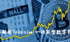 iaeoe深入解析Tokenim：一種新型數(shù)字錢包