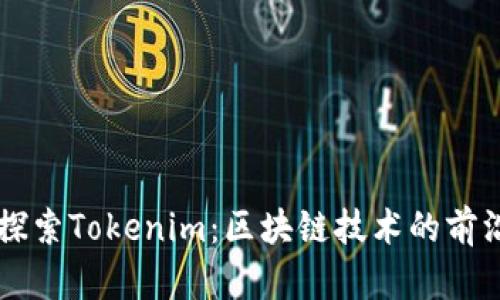 深入探索Tokenim:區(qū)塊鏈技術(shù)的前沿應(yīng)用