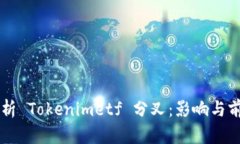 深入解析 Tokenimetf 分叉：影響與前景展