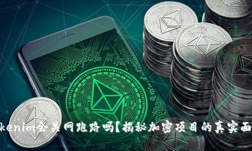 Tokenim會關(guān)網(wǎng)跑路嗎？揭秘加密項目的真實面貌