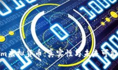 Tokenim虛擬貨幣：真實(shí)性與未來(lái)可能性