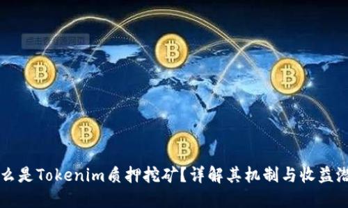 什么是Tokenim質(zhì)押挖礦？詳解其機制與收益潛力