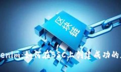 深入探討Tokenim：如何在BSC上創(chuàng)建成功
