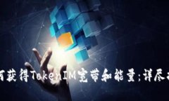 如何獲得TokenIM寬帶和能量：詳盡指南