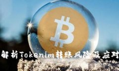 深入解析Tokenim轉(zhuǎn)賬風(fēng)險(xiǎn)及應(yīng)對策略