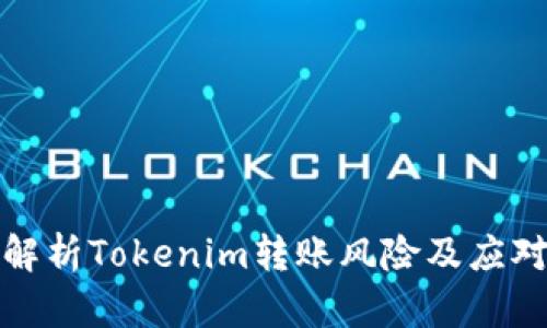 深入解析Tokenim轉(zhuǎn)賬風(fēng)險(xiǎn)及應(yīng)對(duì)策略
