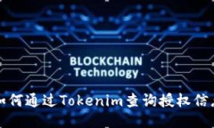 如何通過Tokenim查詢授權(quán)信息
