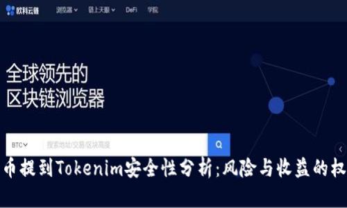 將幣提到Tokenim安全性分析:風(fēng)險與收益的權(quán)衡